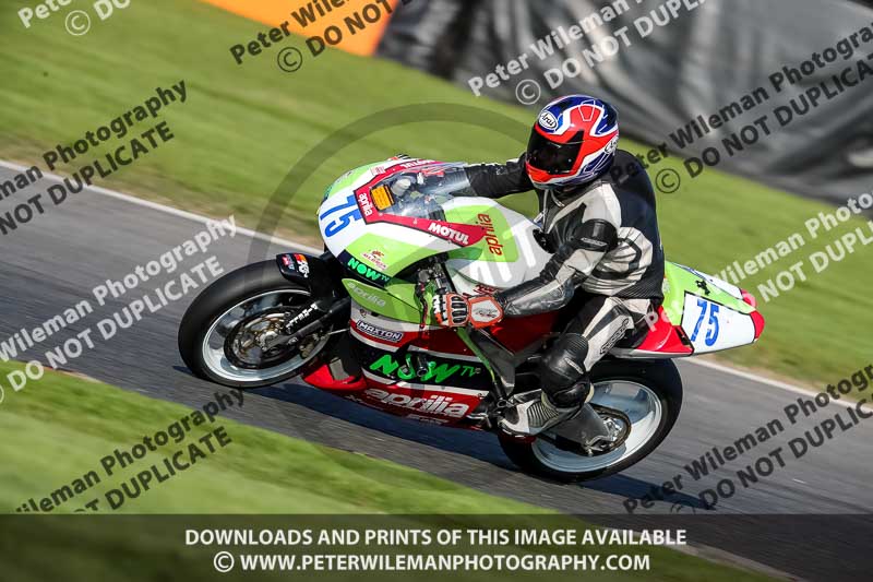 brands hatch photographs;brands no limits trackday;cadwell trackday photographs;enduro digital images;event digital images;eventdigitalimages;no limits trackdays;peter wileman photography;racing digital images;trackday digital images;trackday photos